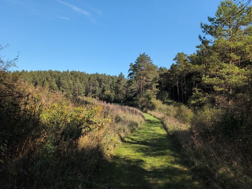 Rundweg Velden