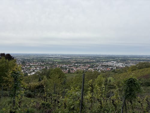 Weinheim Rundweg