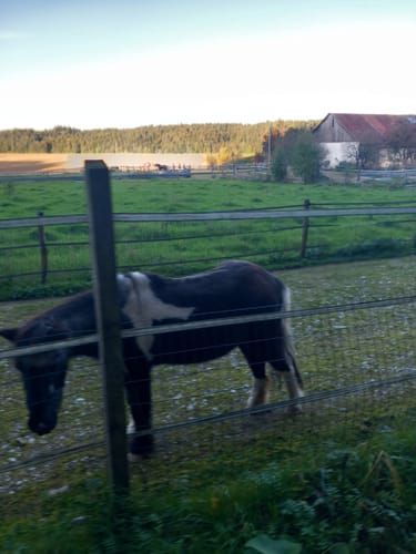 Rundweg von Hirschbach nach Wolfersdorf 