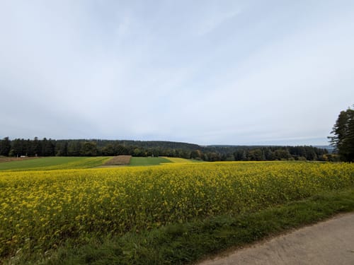 Salzstetten - Alt-Nuifra - Haiterbach