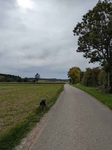 Salzstetten - Alt-Nuifra - Haiterbach