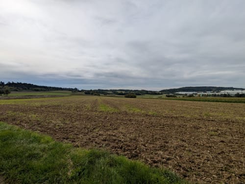 Salzstetten - Alt-Nuifra - Haiterbach