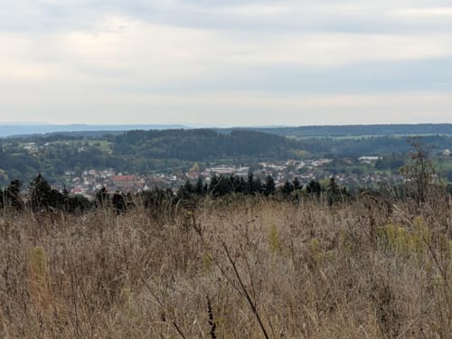 Salzstetten - Alt-Nuifra - Haiterbach