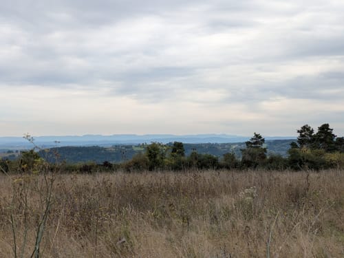 Salzstetten - Alt-Nuifra - Haiterbach