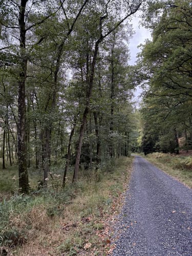 Lattenberg Rundweg A3