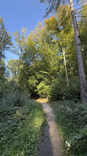 Erfurter Steigerwald: Naturlehrpfad 2