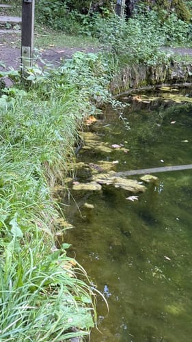 Erfurter Steigerwald: Naturlehrpfad 2