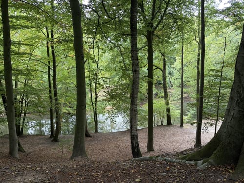 Auf dem Huntepadd zur Glaner Braut