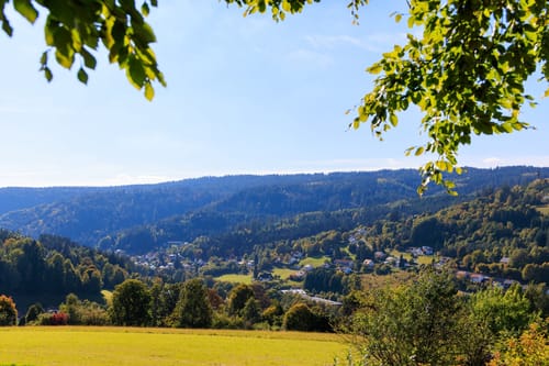 Warmensteinach Rundwanderweg Nr. 6: Reisigbachrunde