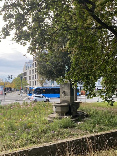 Rund um den Göttinger Stadtwall