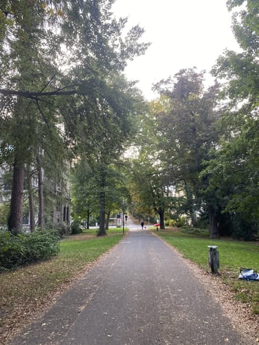 Rund um den Göttinger Stadtwall