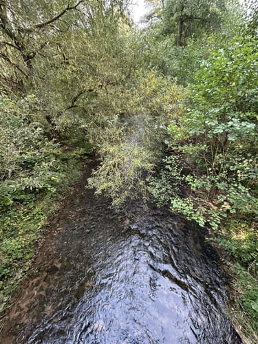 Leine-Heide-Radweg Etappe 1: Leinefelde - Göttingen