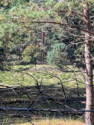 Geheimnisse im Erlanger Osten