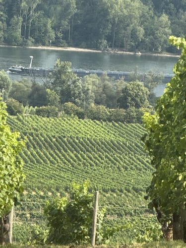 Am Schloß Johannisberg