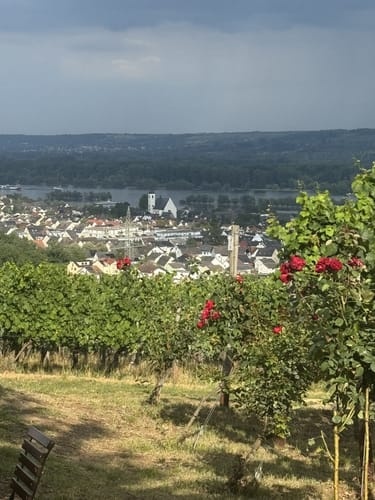 Am Schloß Johannisberg