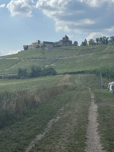 Am Schloß Johannisberg