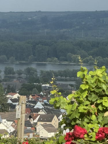 Am Schloß Johannisberg