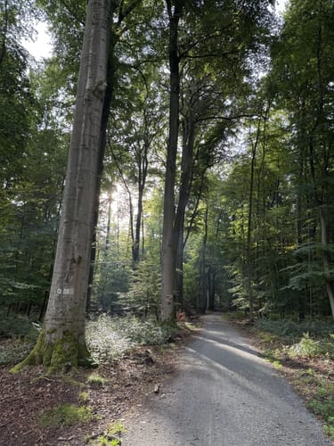 GrünGürtel Rundwanderweg Frankfurt