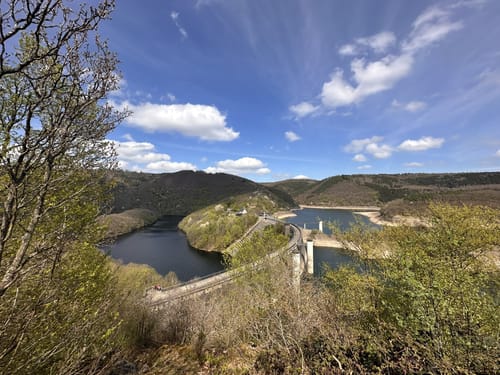 Bird Watching Runde: Von Vogelsang über die Urftseebrücke