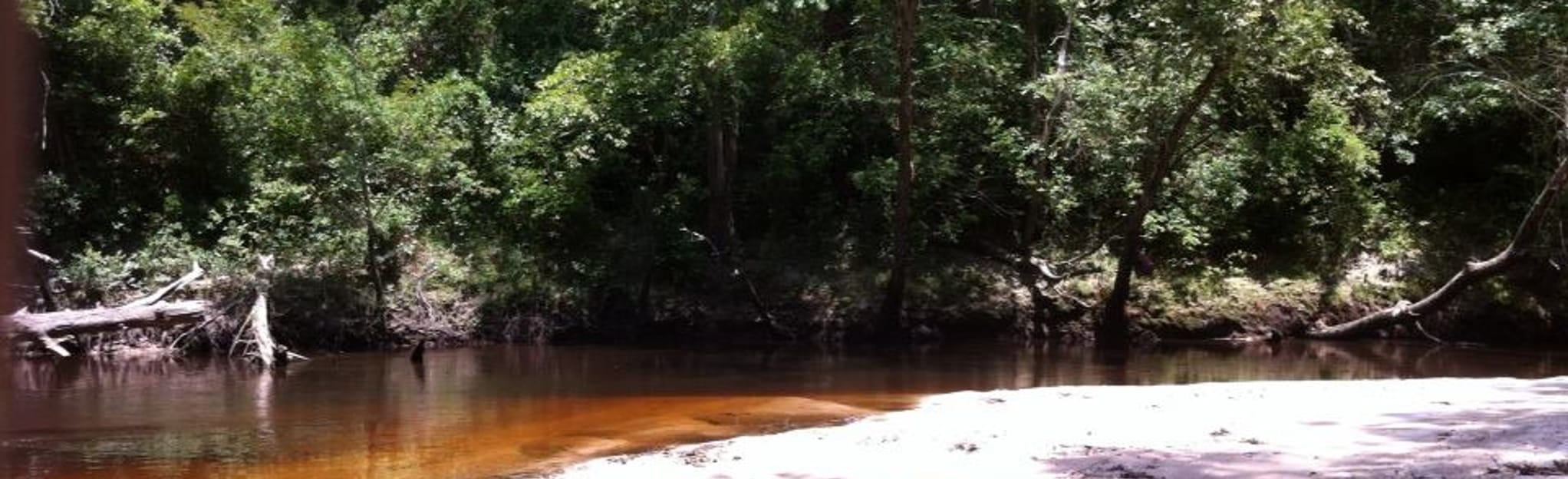 Rockfish Creek via Canoe, North Carolina 15 Reviews, Map AllTrails