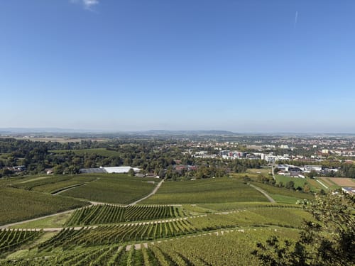 Rundwanderweg 5: Gaffenberg - Schweinsberg - Köpfertal