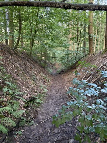 Rundwanderweg 5: Gaffenberg - Schweinsberg - Köpfertal