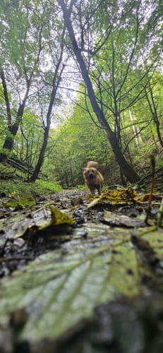 Erdbacher Karst- und Höhlenlehrpfad (Kleine Runde)