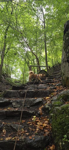 Erdbacher Karst- und Höhlenlehrpfad (Kleine Runde)