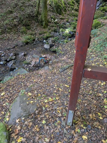 Gräfin-Loretta-Weg (Traumschleife)