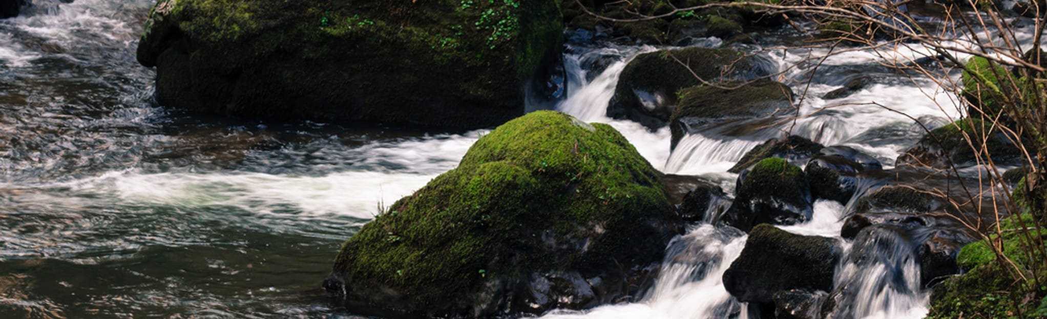 Coos Bay Wagon OHV Road, Oregon 16 Reviews, Map AllTrails