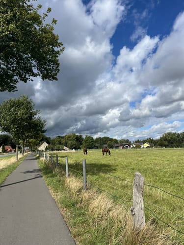 Teutoburger Wald-Rundfahrt