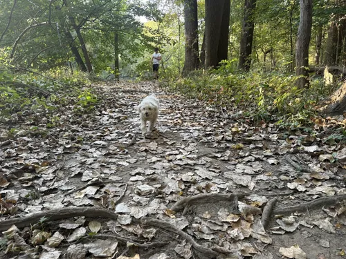 Best river trails in Clinton Township | AllTrails