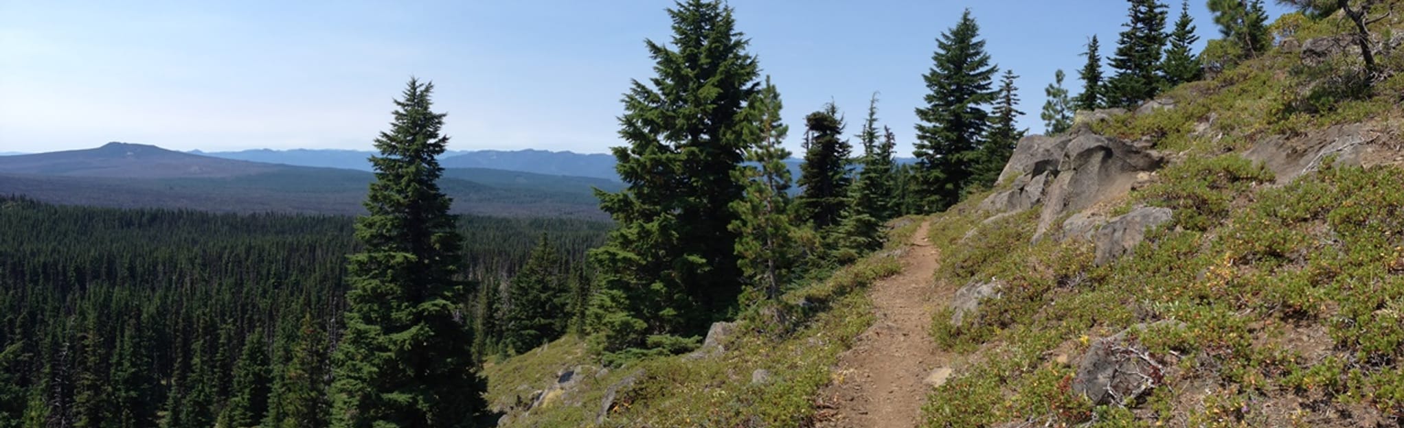 McKenzie Pass to Santiam Pass via the PCT, Oregon - 26 Reviews, Map ...