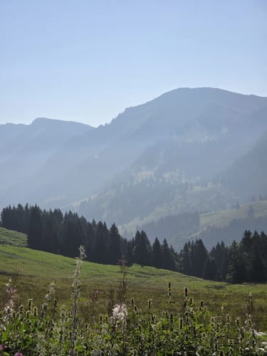 Imberg - Hochwies - Alpe Glutschwanden