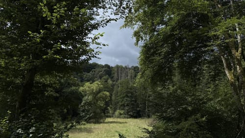 Rundweg HG4 (Höhr-Grenzhausen)