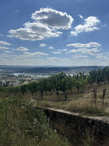 Hildegardweg