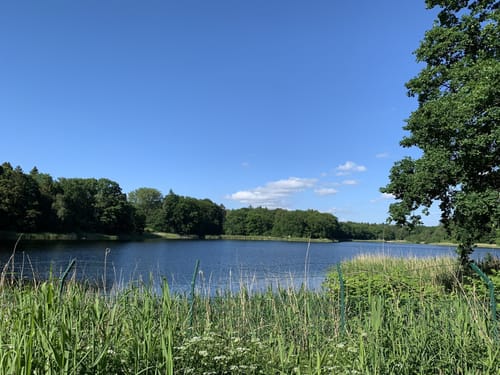 Um den Bredenbeker Teich