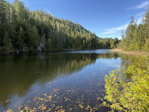 10 Best forest trails in Sooke Potholes Regional Park | AllTrails
