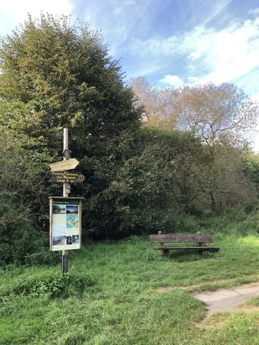 Heldrastein P6 (Premiumwanderweg)