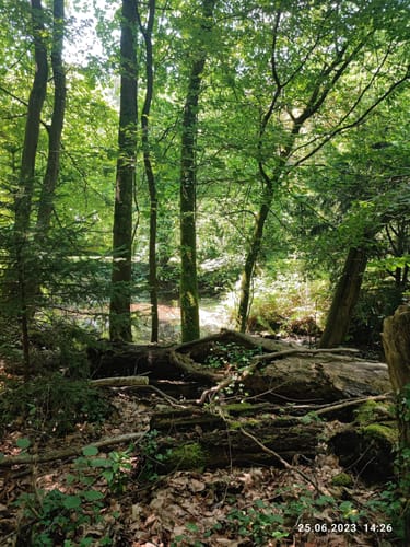 Von Haan zum Schloss Caspersbroich