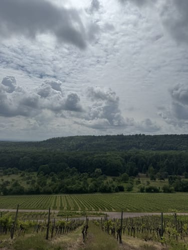 Bönnigheim - Ochsenbach