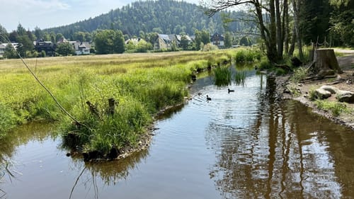 Säbelthomaweg (Genießerpfad)