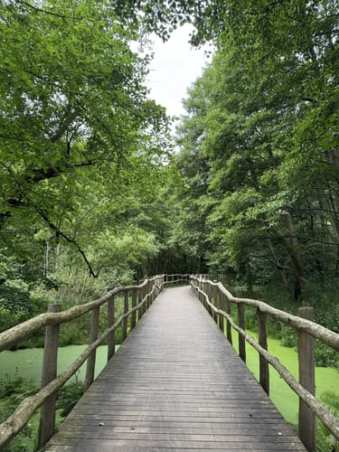 Schwielowsee Rundweg
