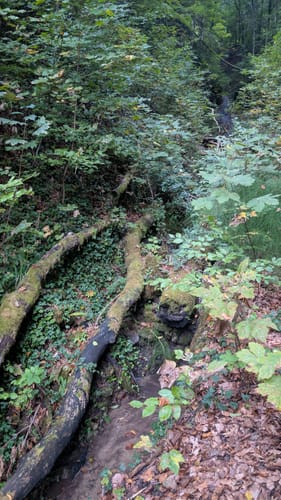 Vom Känzele über Rührberg und Ruschbachfälle