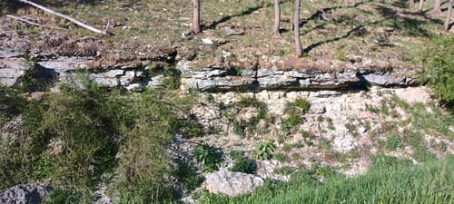 Oberleinleiter: Großer Tümmler und Heroldsstein