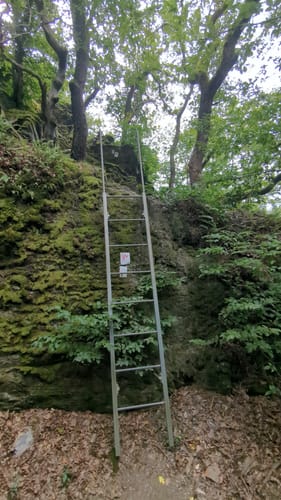 LahnWeinStieg