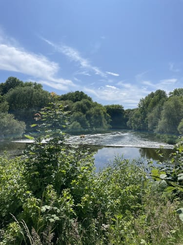 Laatzen - NSG Alte Leine - Maschsee