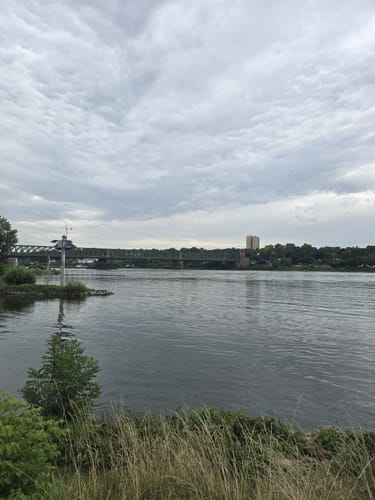 Mainzer Brückentour