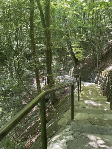 Burg Schwaneck - Burg Grünwald