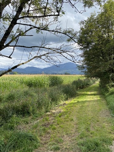 Chiemsee Rundweg